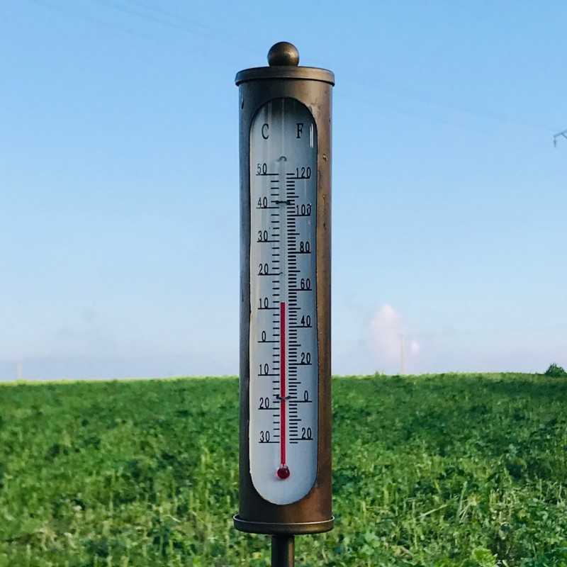 Pic, termometro da giardino in ferro colore bronzo