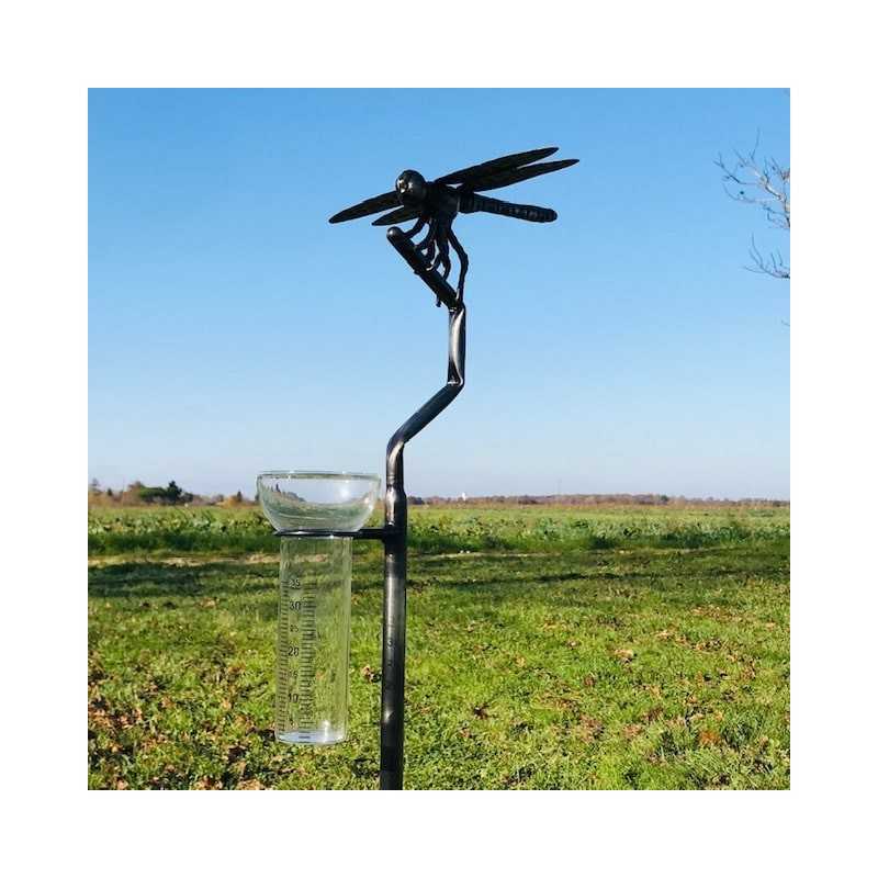 Pluviometro Originale Decorativo Libellula in Acciaio Inox Forgiato H134 cm