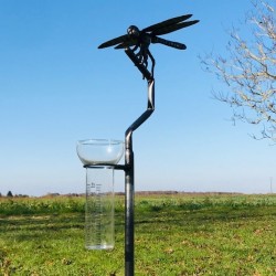 Pluviometro Originale Decorativo Libellula in Acciaio Inox Forgiato H134 cm vista dall'imbuto
