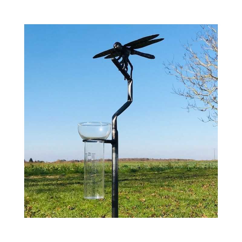 Pluviometro Originale Decorativo Libellula in Acciaio Inox Forgiato H134 cm vista dall'imbuto