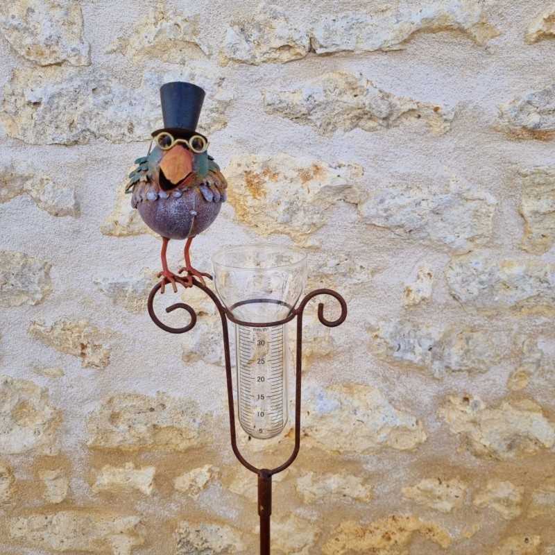 Pluviometro decorativo modello uccello con cappello e imbuto graduato vista frontale