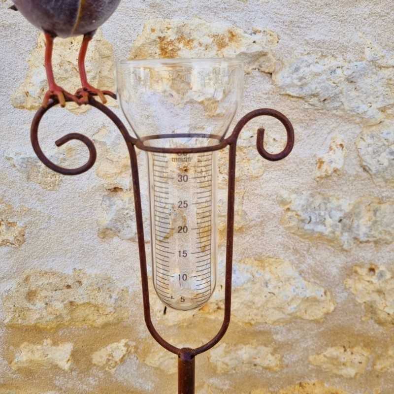 Pluviometro decorativo modello uccello con cappello e imbuto graduato vista del tubo graduato