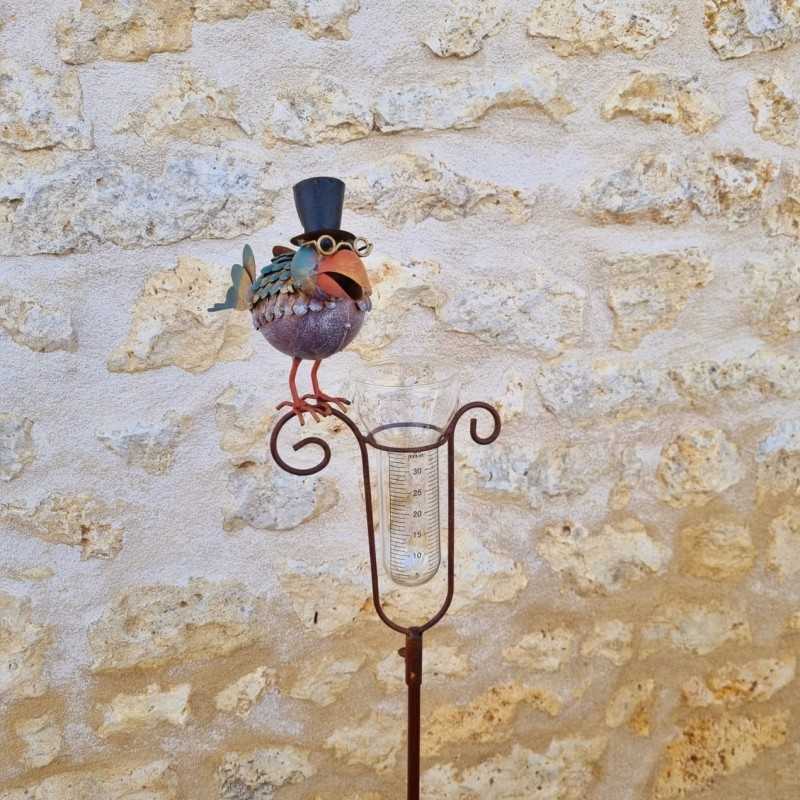 Pluviometro decorativo modello uccello con cappello e imbuto graduato vista frontale