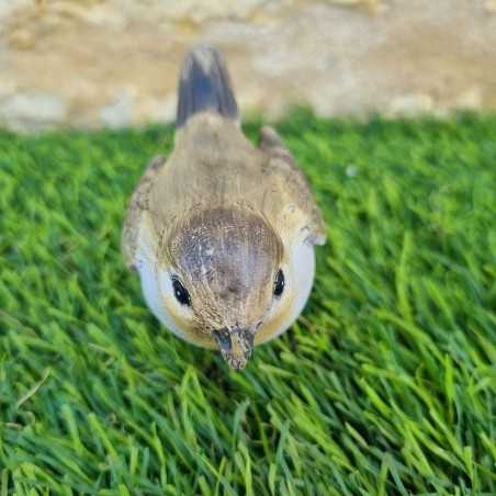 Uccello in resina