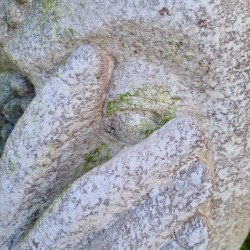 Vaso in stile antico a forma di volto con finitura invecchiata