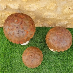 Funghi in ferro beige marrone ruggine