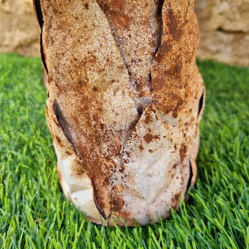 Funghi in ferro beige marrone ruggine