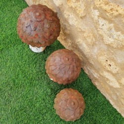 Funghi in ferro beige marrone ruggine