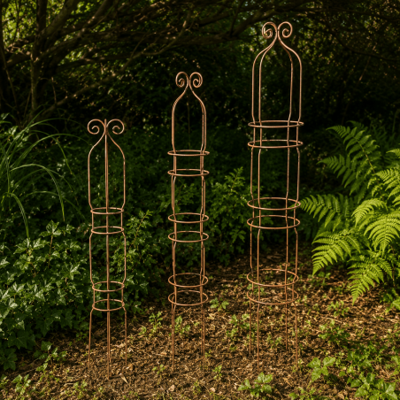 Lot de 3 obélisques pour plantes grimpantes en métal rouille